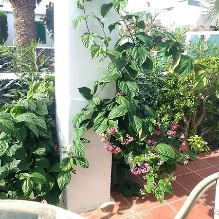 Casa Maracuya- A 500m Playa -no Fumadores * 코스타 테기세