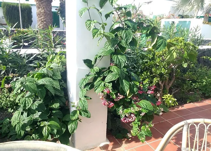 Casa Maracuya- A 500m Playa -no Fumadores * Costa Teguise