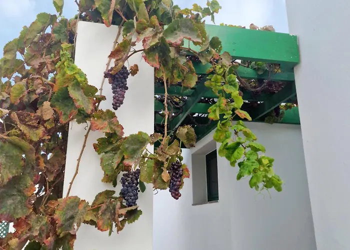 Casa Maracuya- A 500m Playa -no Fumadores Tatil Evi *